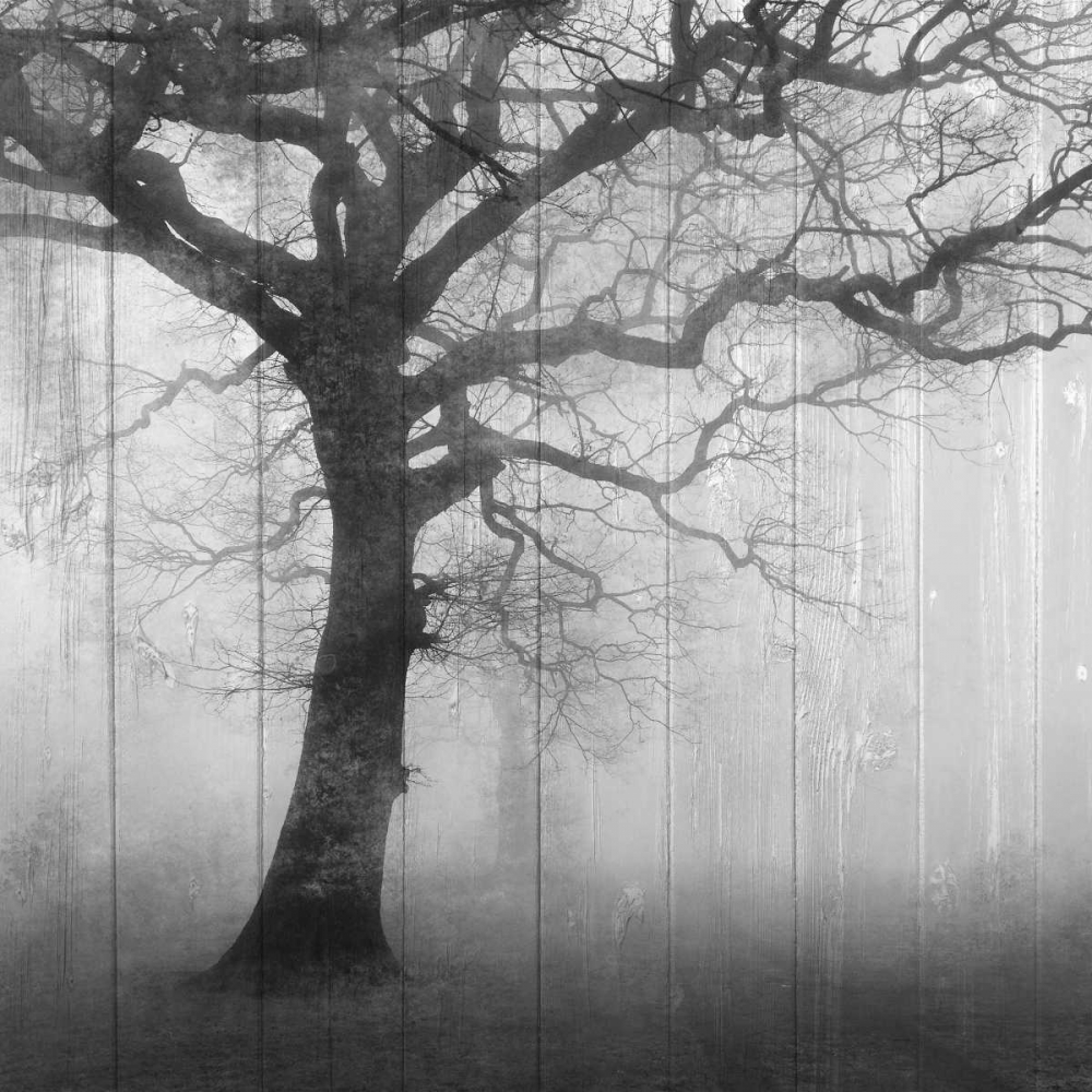 Similar wall art painting: 138248