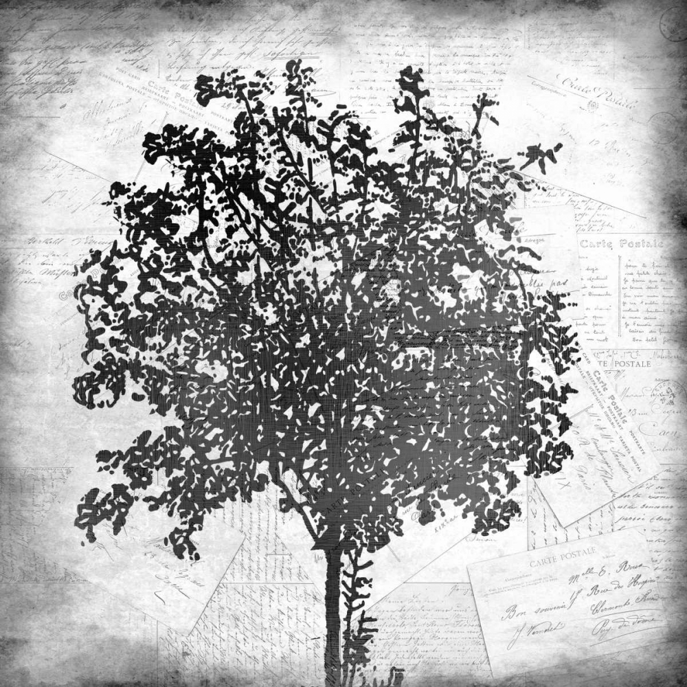 Wall Art Painting id:138256, Name: Tree Silhouette Black and White 2, Artist: Allen, Kimberly