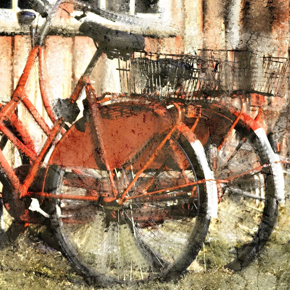 Wall Art Painting id:223515, Name: Ride Bicycles, Artist: Kimberly, Allen