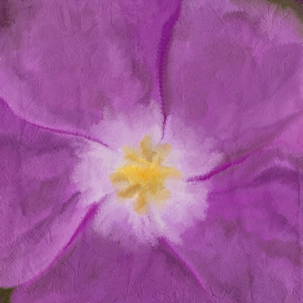 Wall Art Painting id:241266, Name: Purple Bloom 2, Artist: Allen, Kimberly