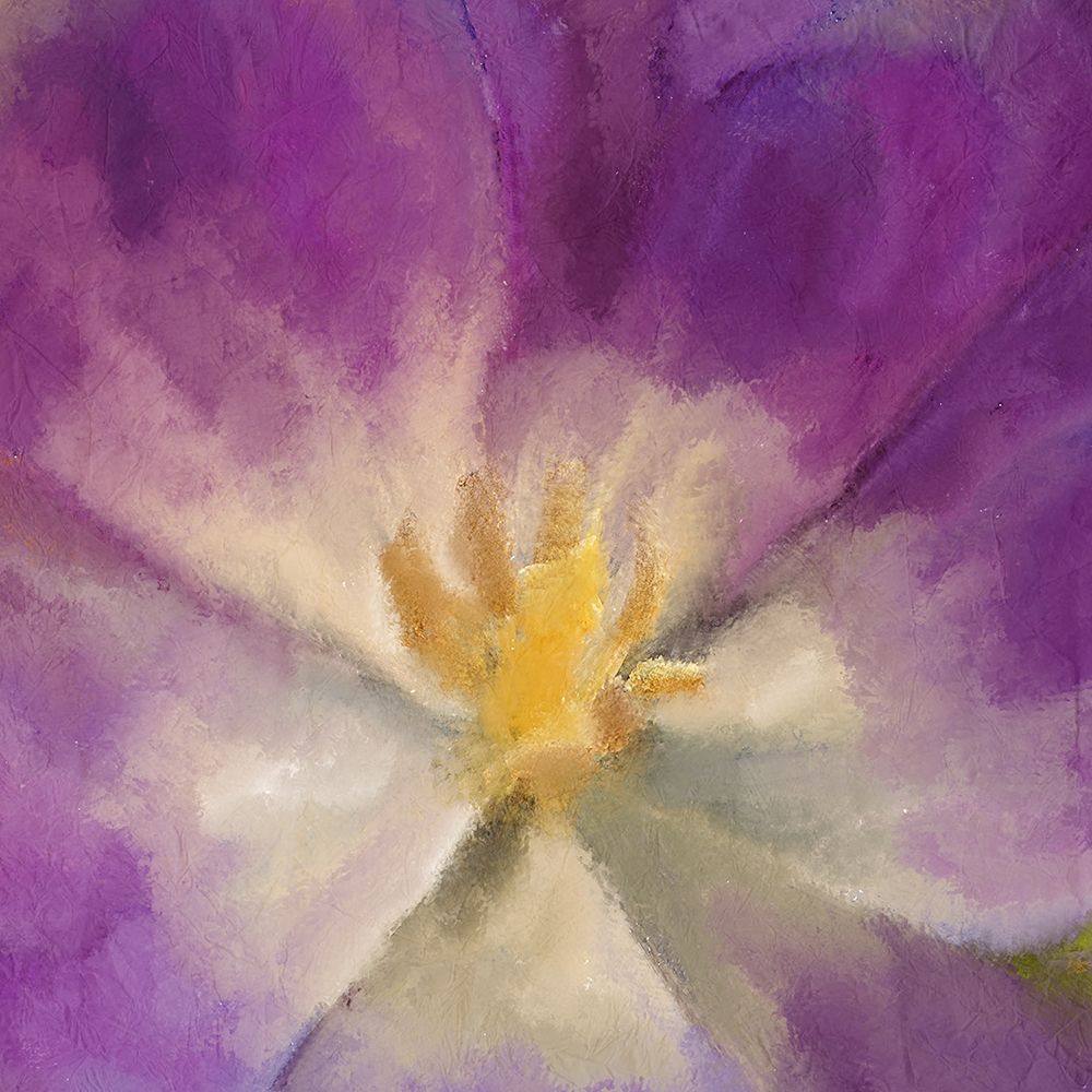 Wall Art Painting id:241267, Name: Purple Bloom, Artist: Allen, Kimberly