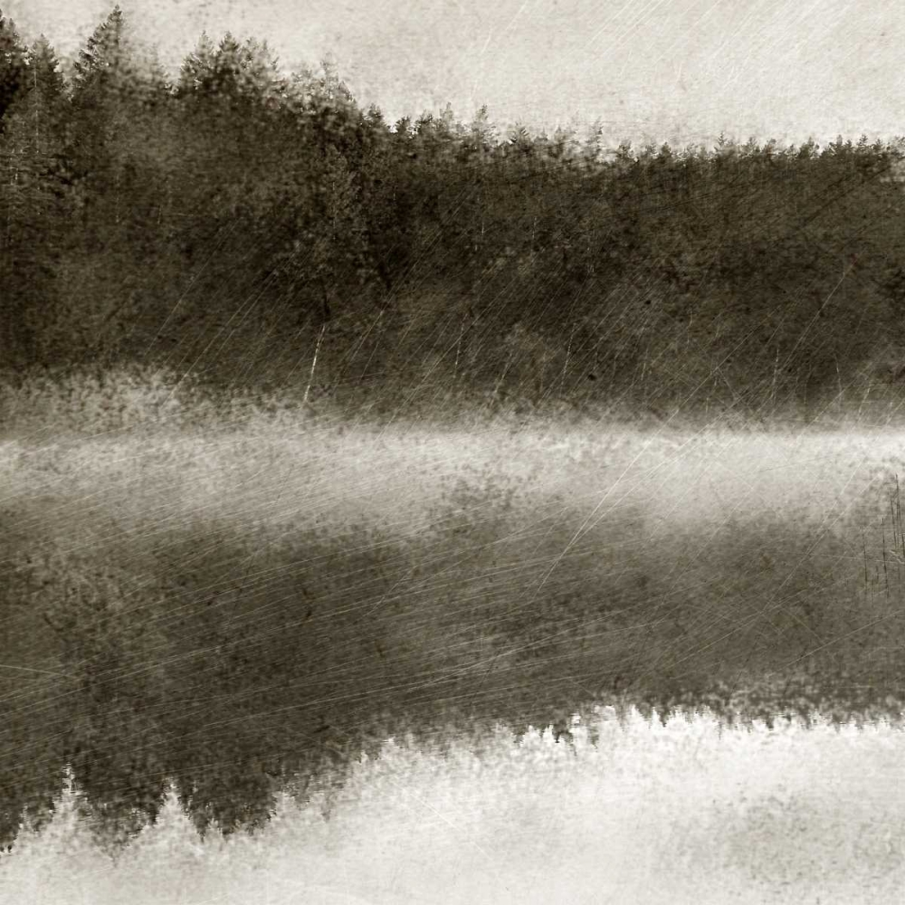 Wall Art Painting id:138352, Name: Misty Morning on the Lake 1, Artist: Allen, Kimberly