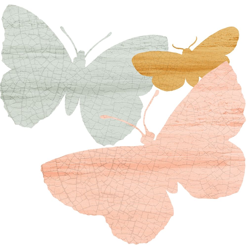 Wall Art Painting id:220936, Name: Butterfly Collection 1, Artist: Allen, Kimberly