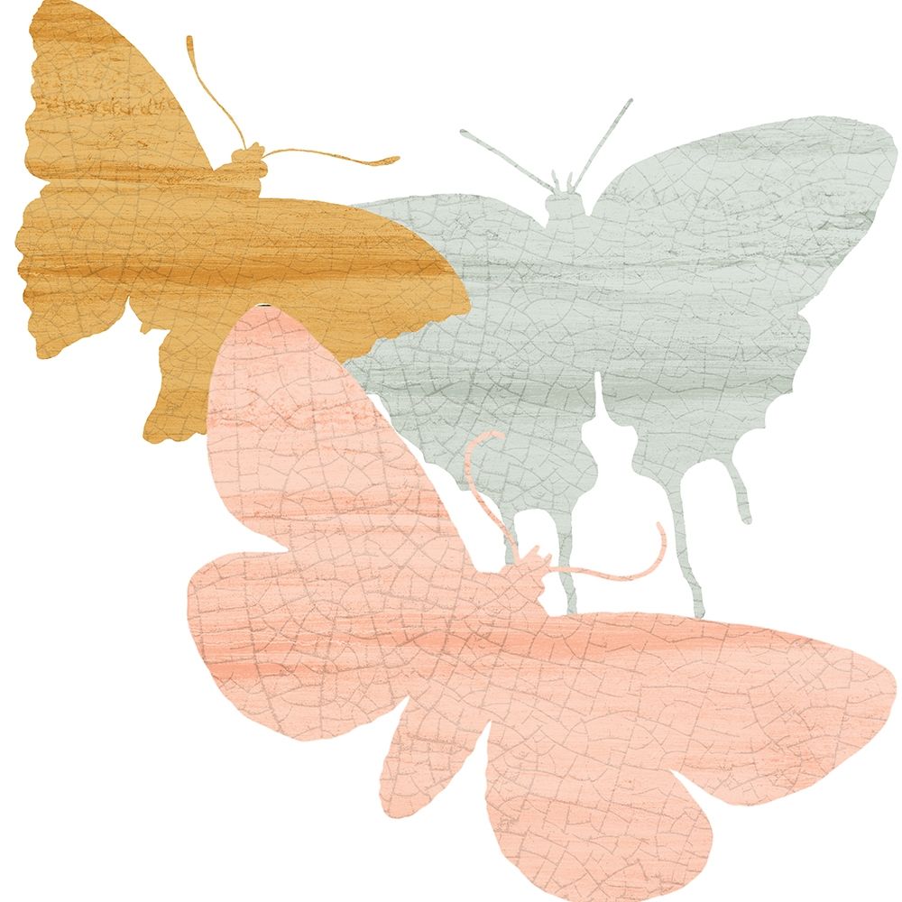 Wall Art Painting id:220937, Name: Butterfly Collection 2, Artist: Allen, Kimberly