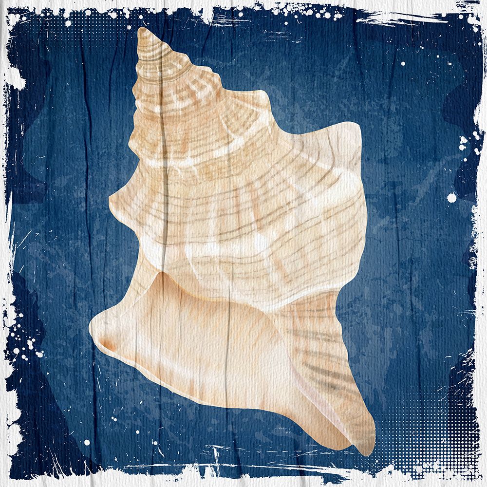 Wall Art Painting id:446922, Name: Coastal Shells 1, Artist: Allen, Kimberly