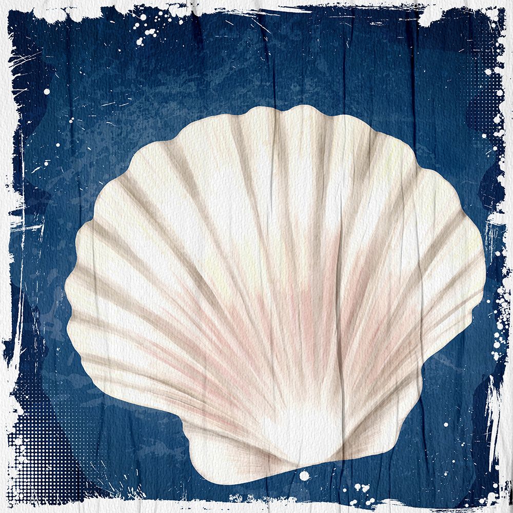 Wall Art Painting id:446923, Name: Coastal Shells 2, Artist: Allen, Kimberly