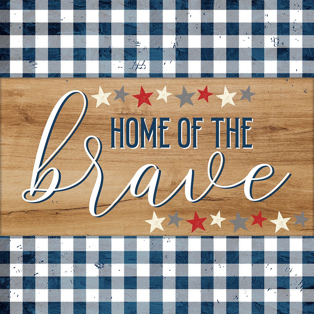 Wall Art Painting id:673613, Name: Home Of The Brave, Artist: Allen, Kimberly