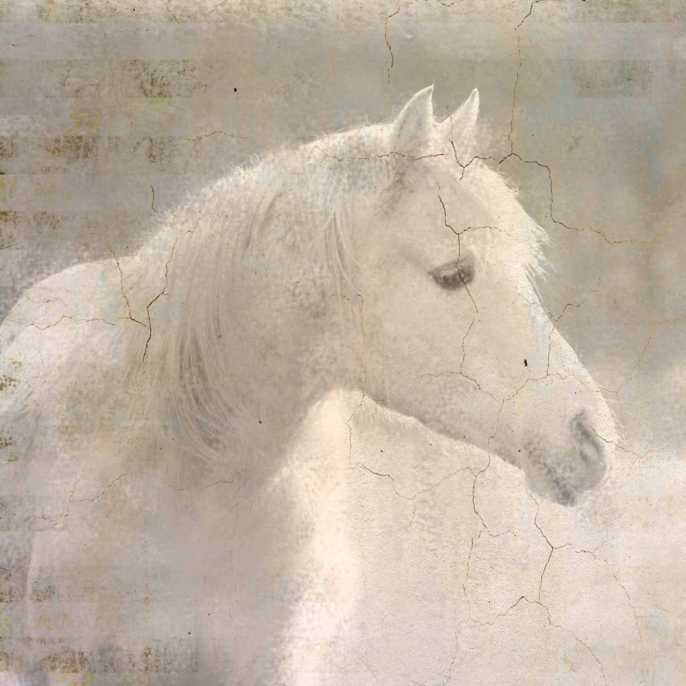 Similar wall art painting: 173651