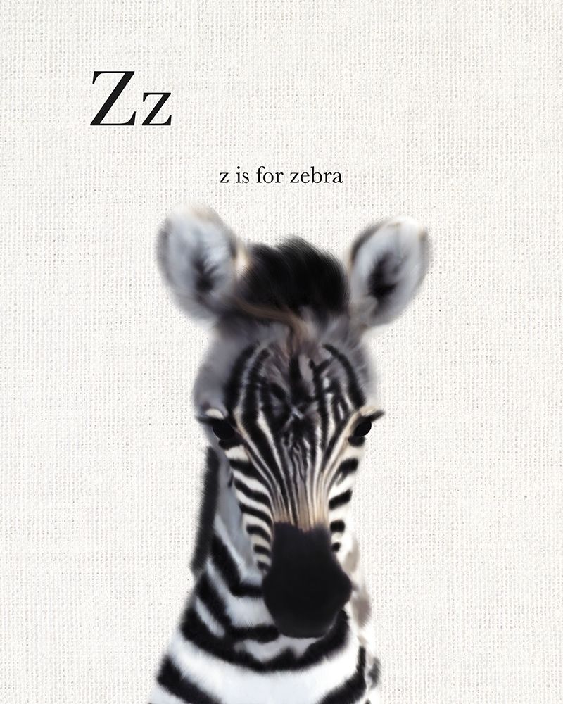 Wall Art Painting id:300115, Name: Baby Zebra Linen, Artist: Straatsma, Leah