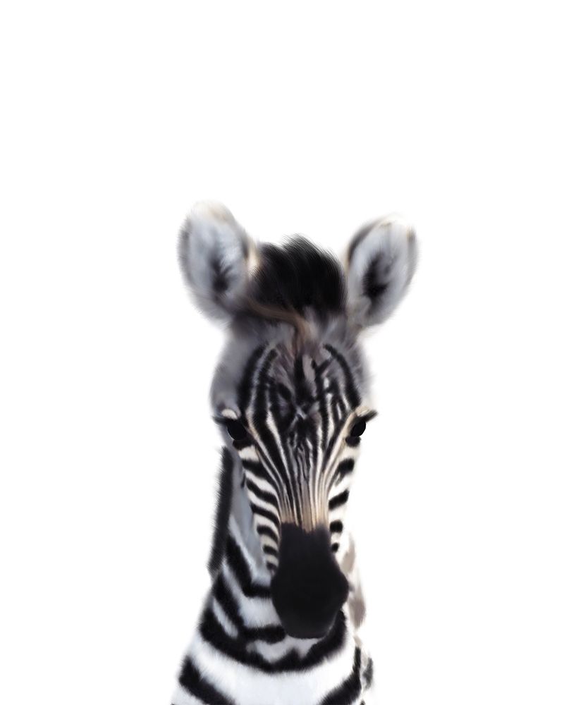 Wall Art Painting id:220944, Name: Baby Zebra, Artist: Straatsma, Leah