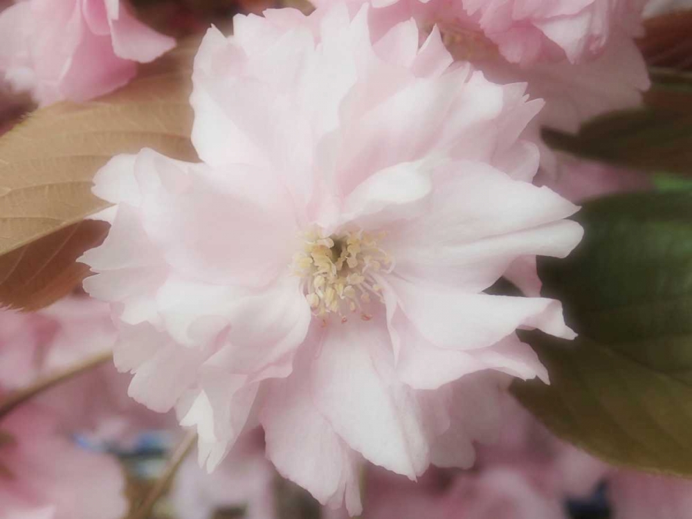 Similar wall art painting: 86986