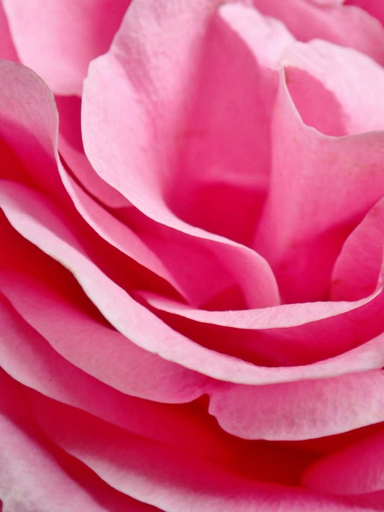 Similar wall art painting: 86990