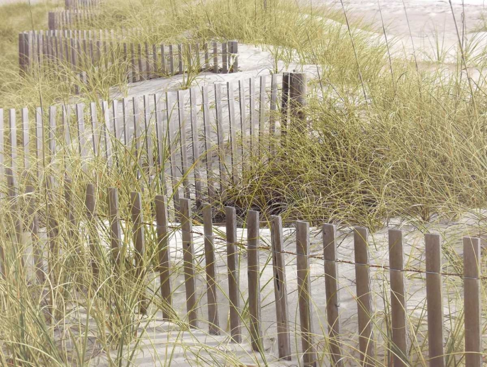 Similar wall art painting: 125880