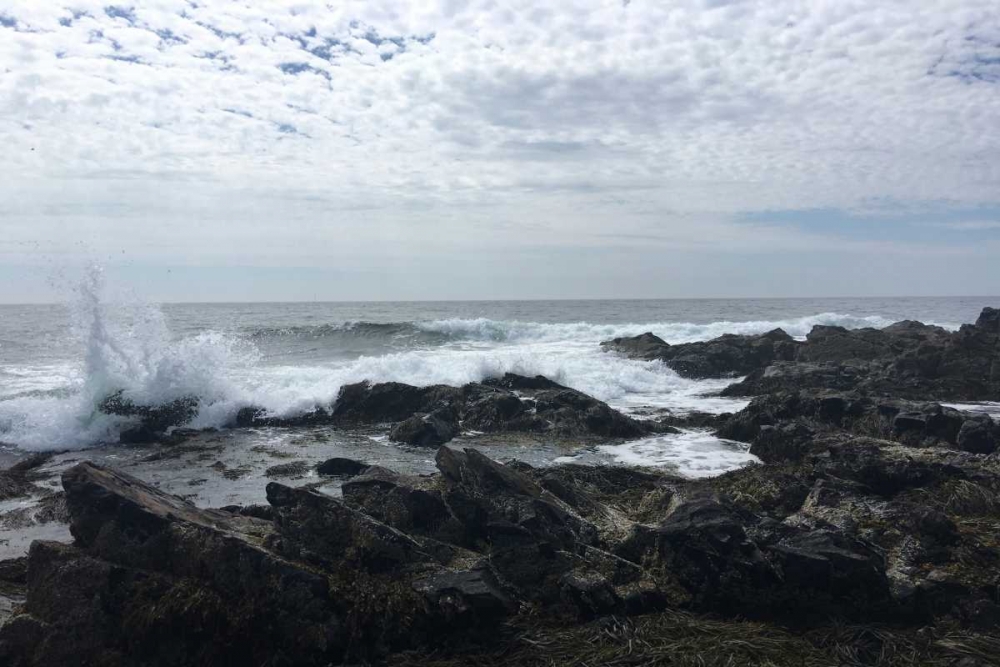 Similar wall art painting: 152584