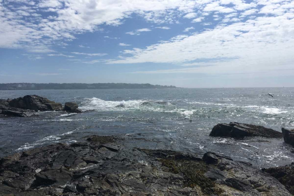 Similar wall art painting: 152588