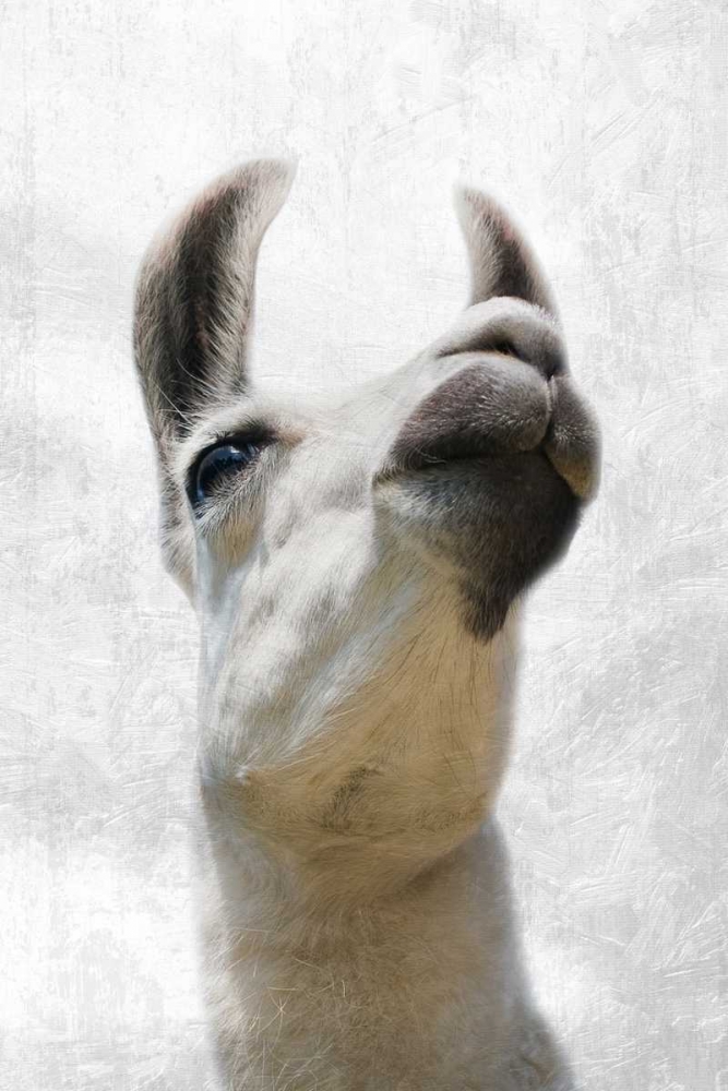 Similar wall art painting: 152593