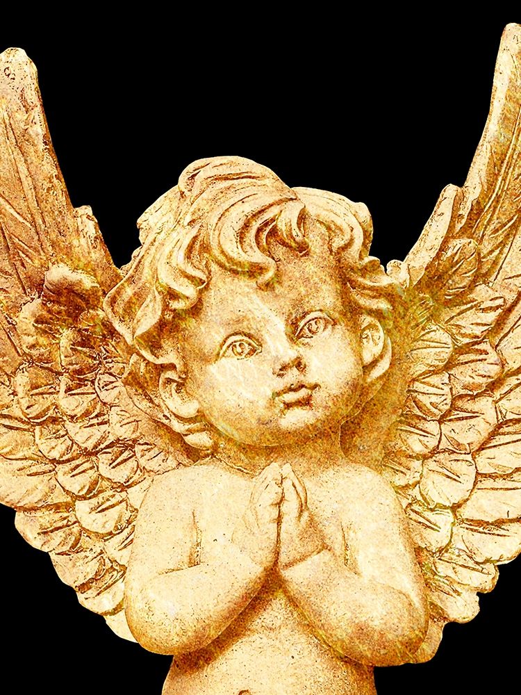 Similar wall art painting: 207970