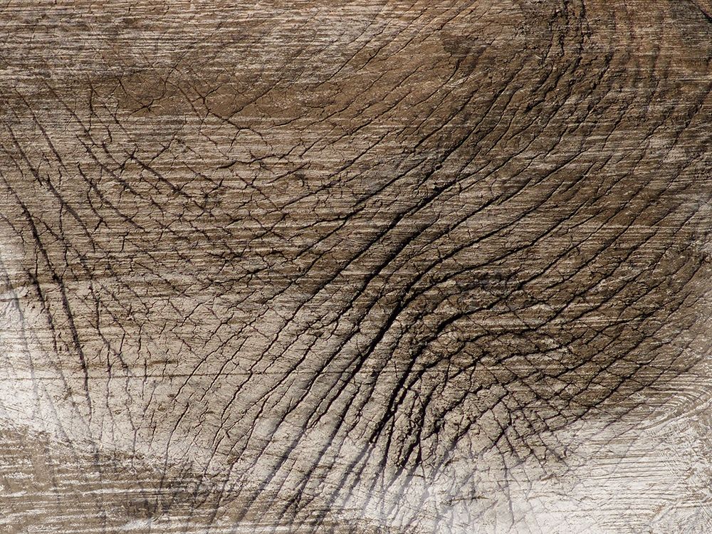 Similar wall art painting: 193767