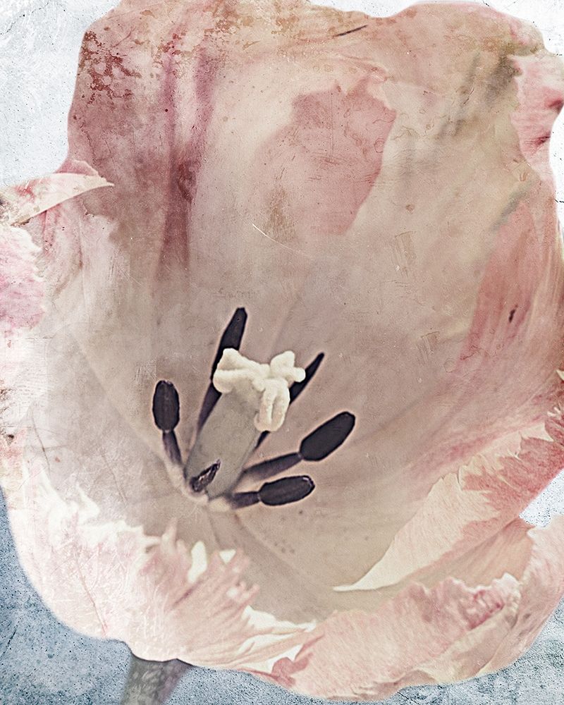 Similar wall art painting: 251125