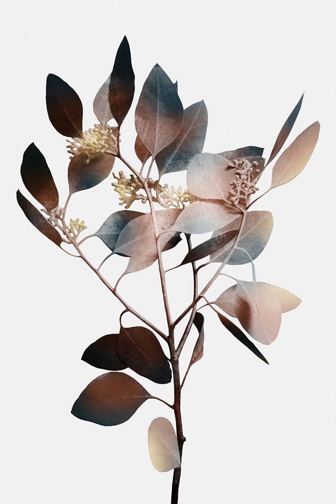 Wall Art Painting id:393936, Name: Autumn Eucalyptus 1, Artist: Prime, Marcus