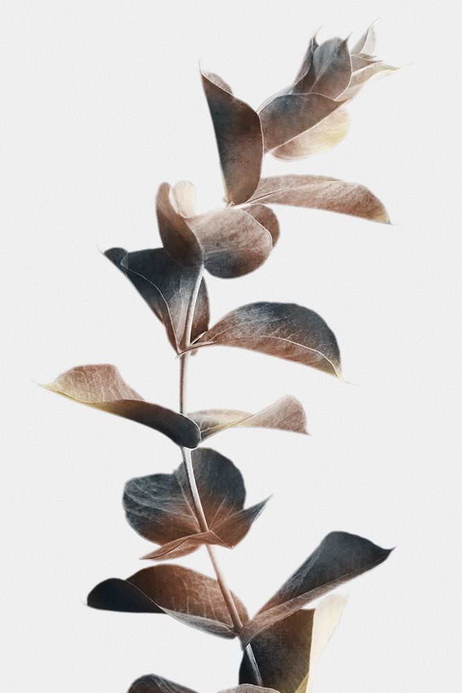 Wall Art Painting id:393937, Name: Autumn Eucalyptus 2, Artist: Prime, Marcus