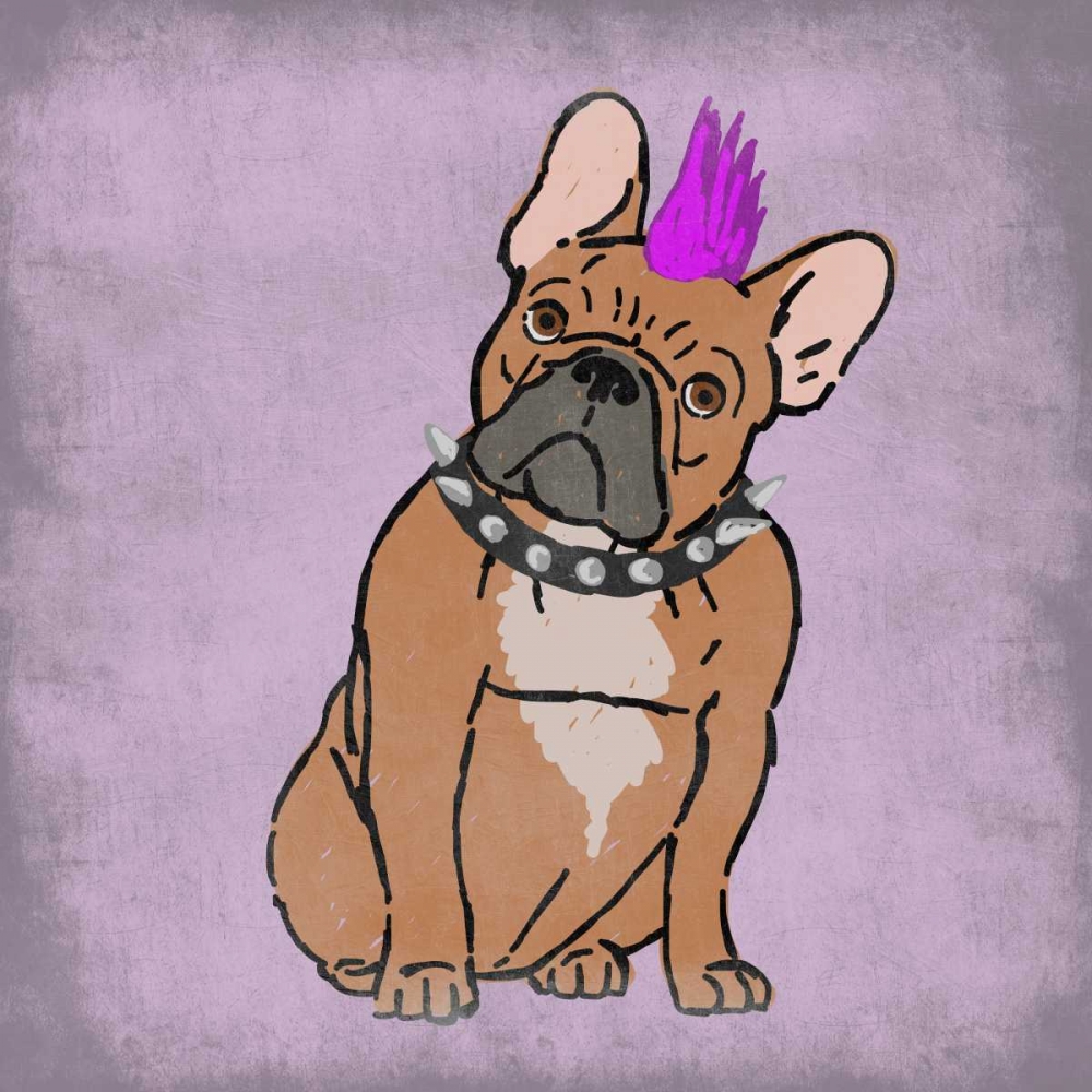 Wall Art Painting id:152618, Name: Rockin Frenchie, Artist: Prime, Marcus