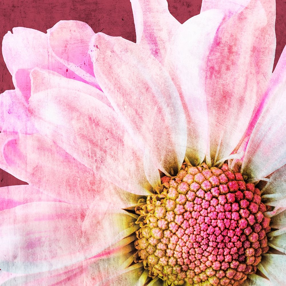 Similar wall art painting: 241648