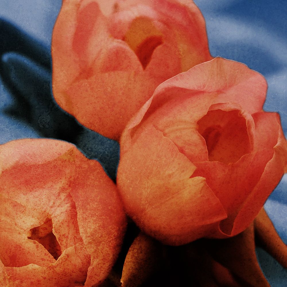 Similar wall art painting: 674170