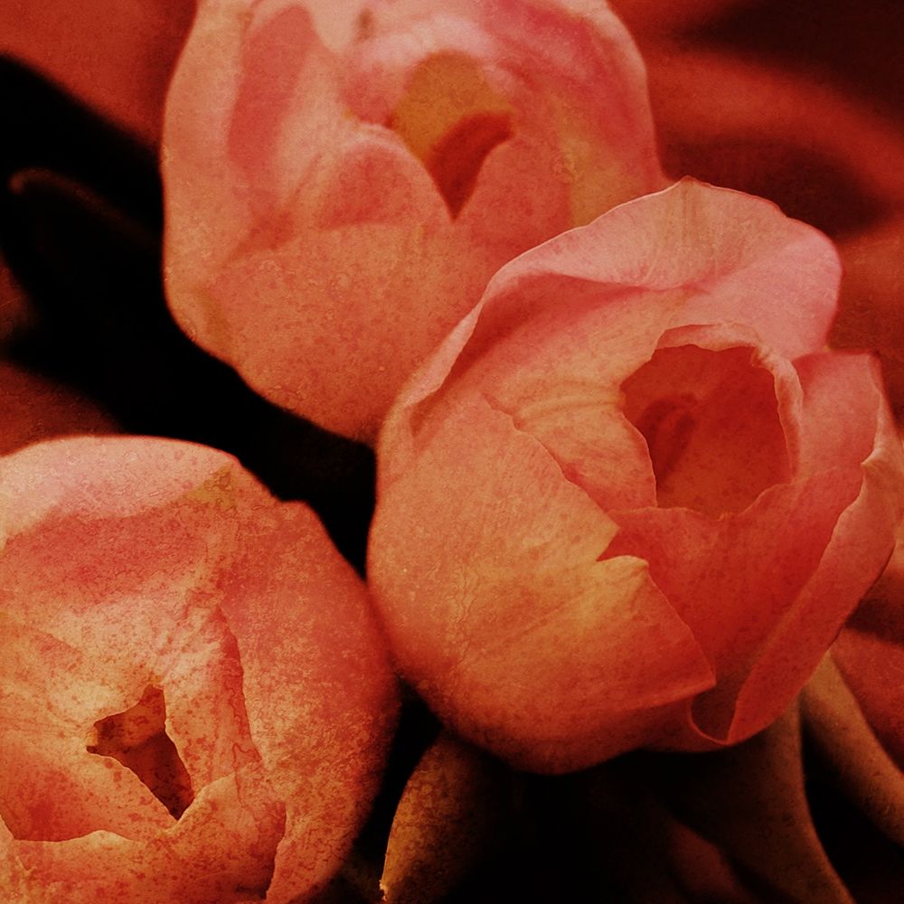 Similar wall art painting: 241672