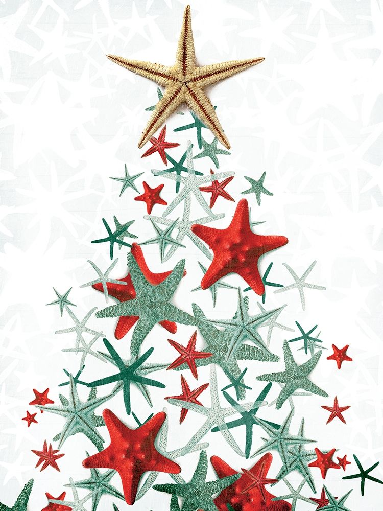 Wall Art Painting id:224272, Name: Star Fish Christmas Colors, Artist: Villa, Milli