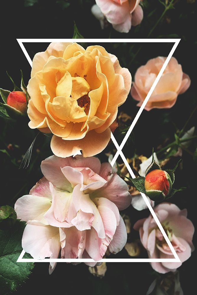 Art Print: Frontal Geometric