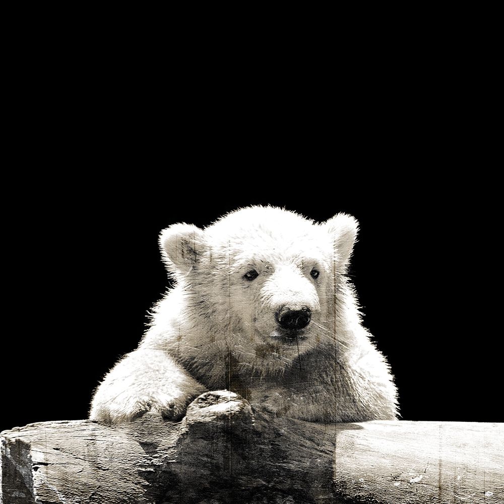 Similar wall art painting: 208067