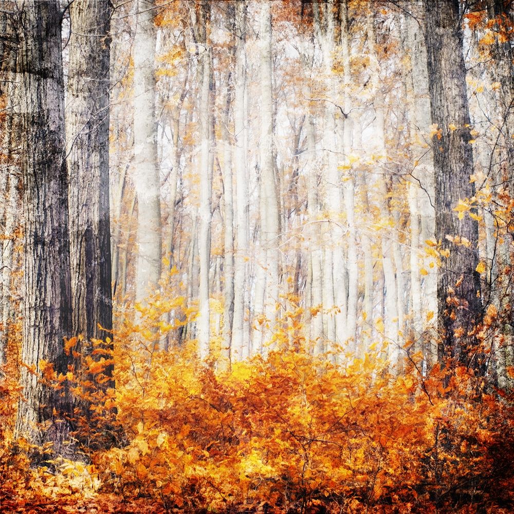Wall Art Painting id:224487, Name: Fall in The Leaves, Artist: Villa, Mlli