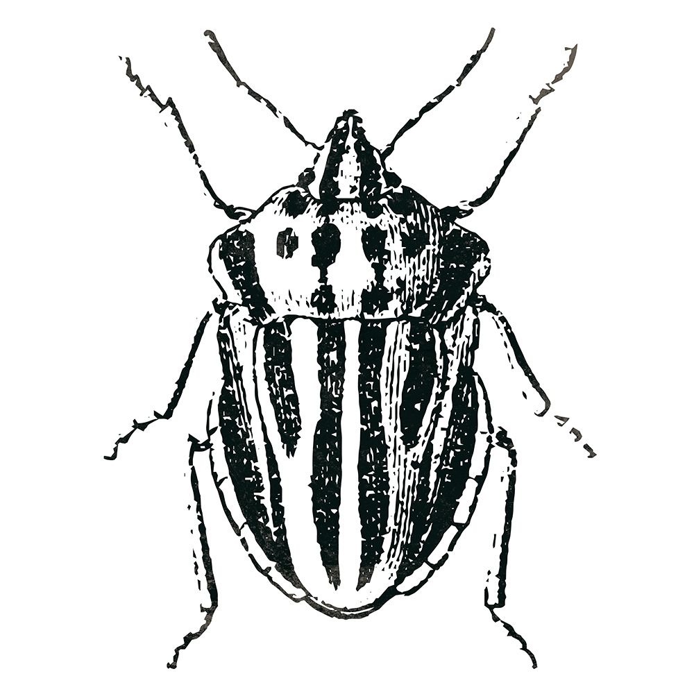 Similar wall art painting: 220995