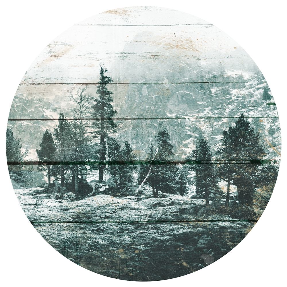 Similar wall art painting: 251389