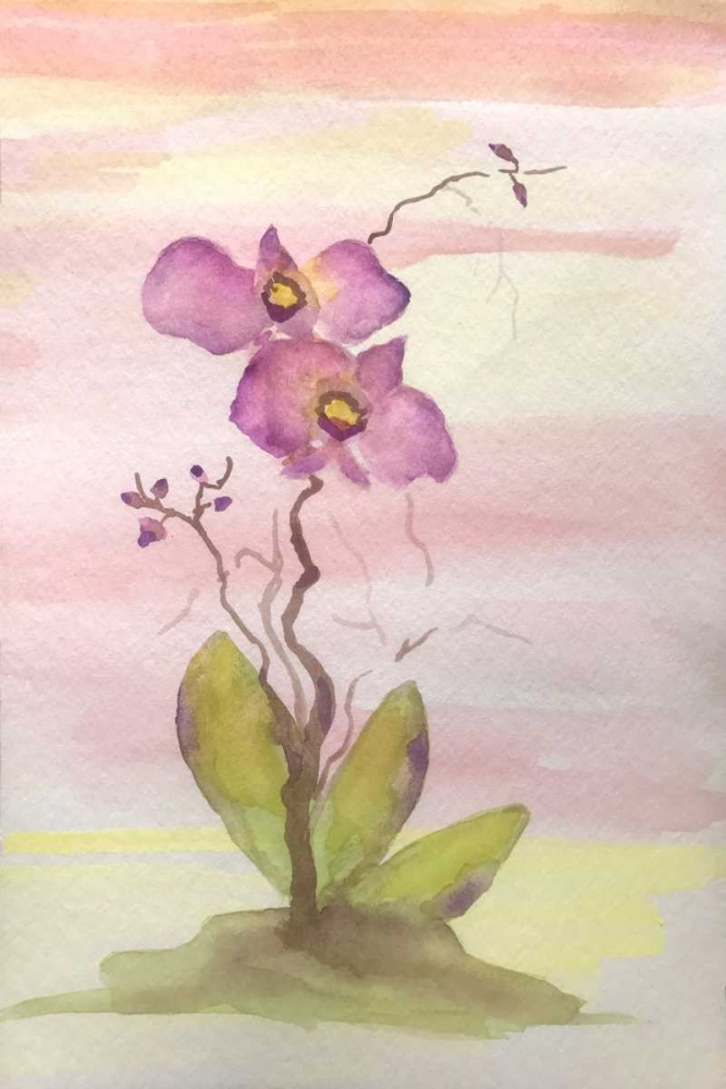 Wall Art Painting id:173953, Name: Orchid Trio 1, Artist: Pearson, Debbie