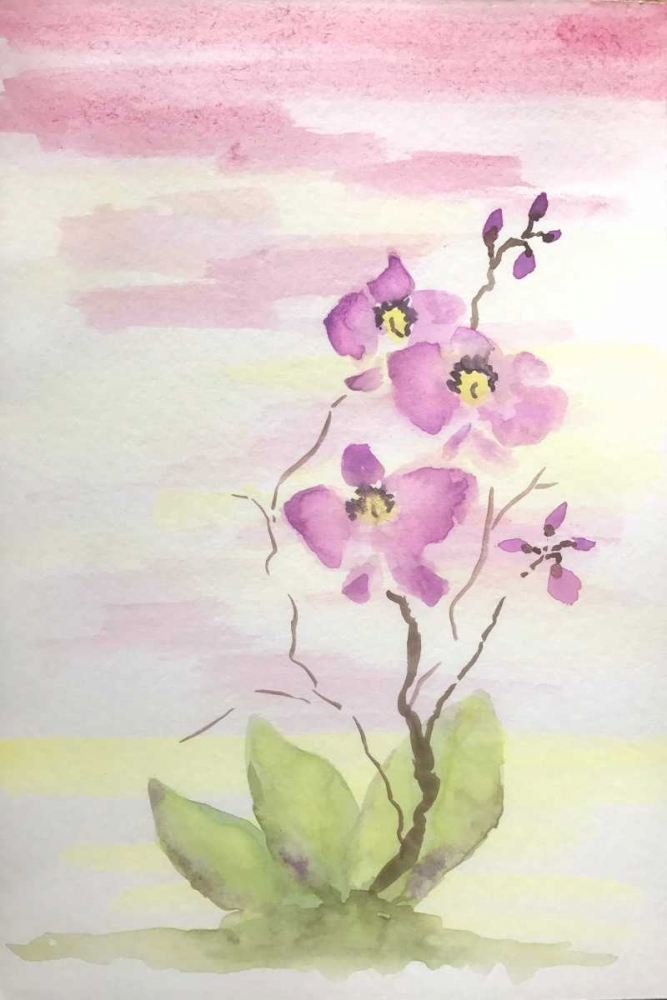 Wall Art Painting id:173955, Name: Orchid Trio 3, Artist: Pearson, Debbie