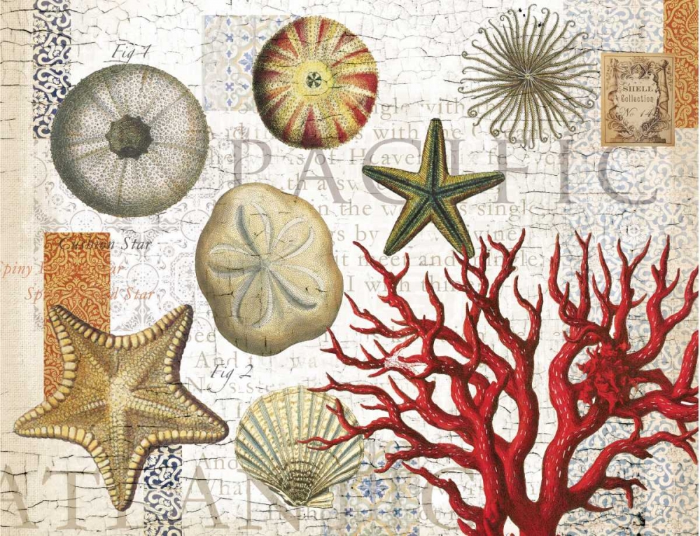 Wall Art Painting id:106846, Name: Sea Treasures, Artist: Allen, Candace
