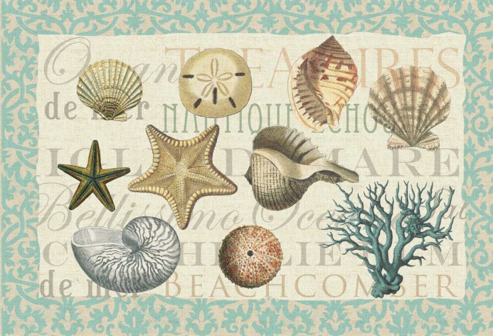 Wall Art Painting id:106847, Name: Sea Shell Collection, Artist: Allen, Candace