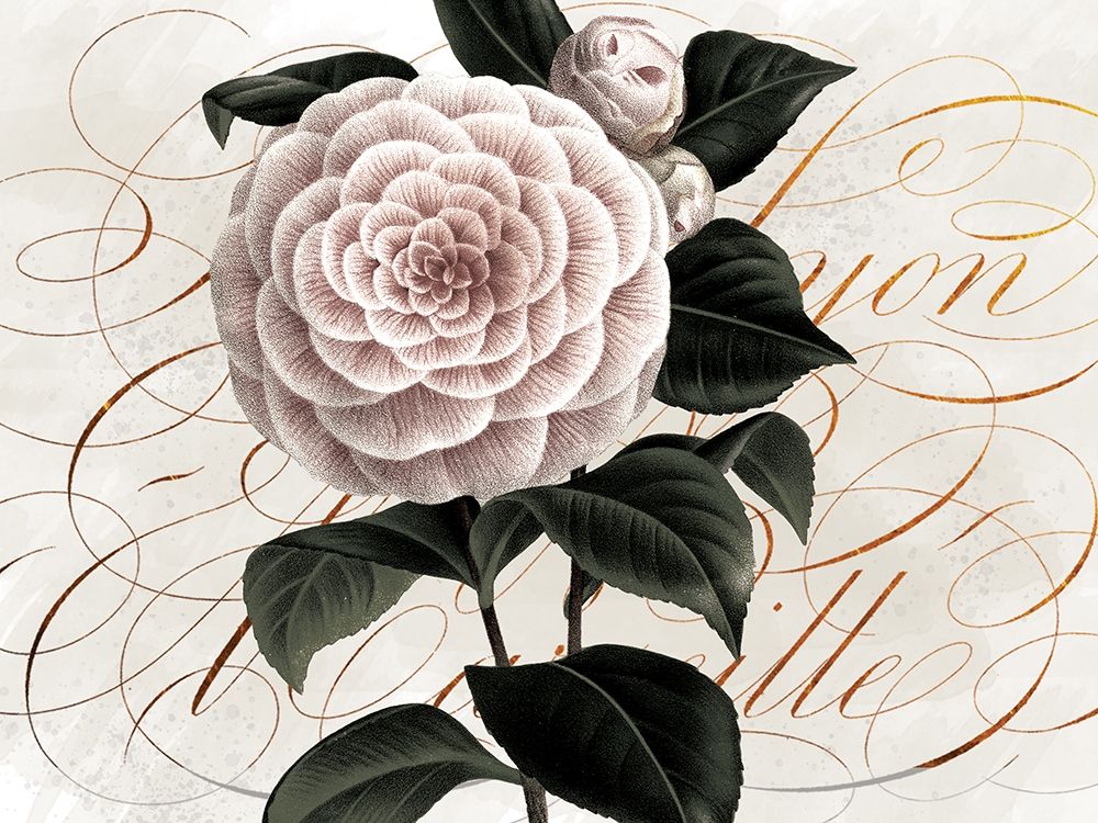 Wall Art Painting id:422922, Name: Flower and Scrolls, Artist: Lula Bijoux and Company