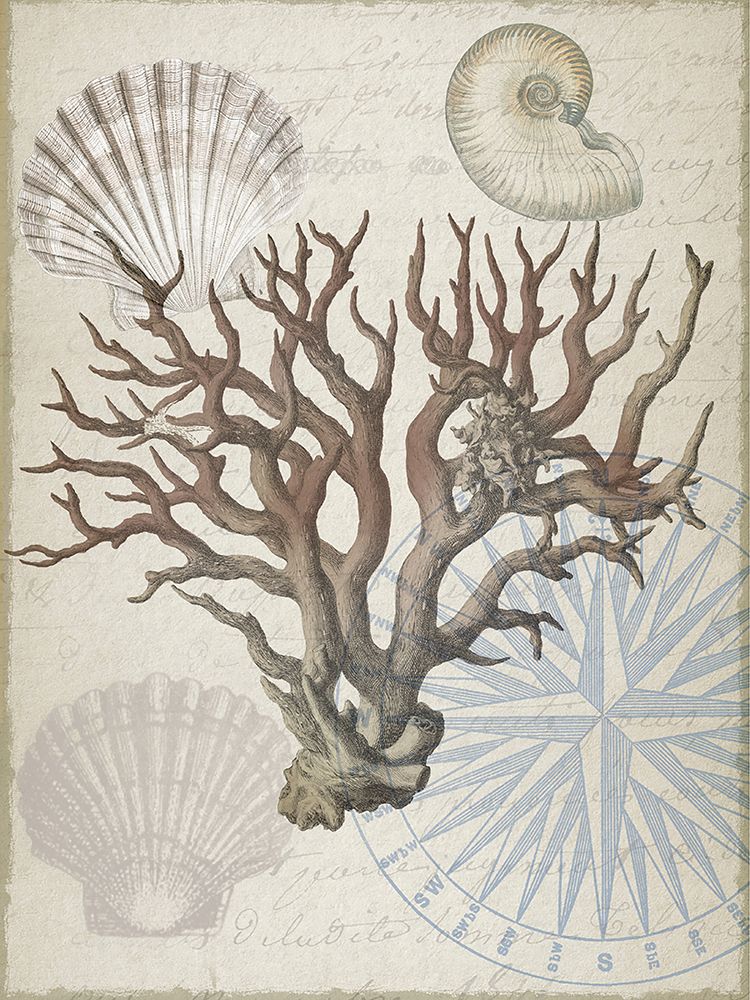 Wall Art Painting id:590675, Name: Coastal Coral, Artist: Lula Bijoux and Company