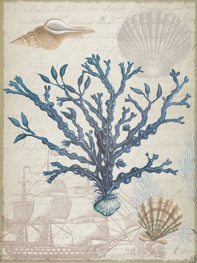 Wall Art Painting id:590676, Name: Coastal Coral 2, Artist: Lula Bijoux and Company