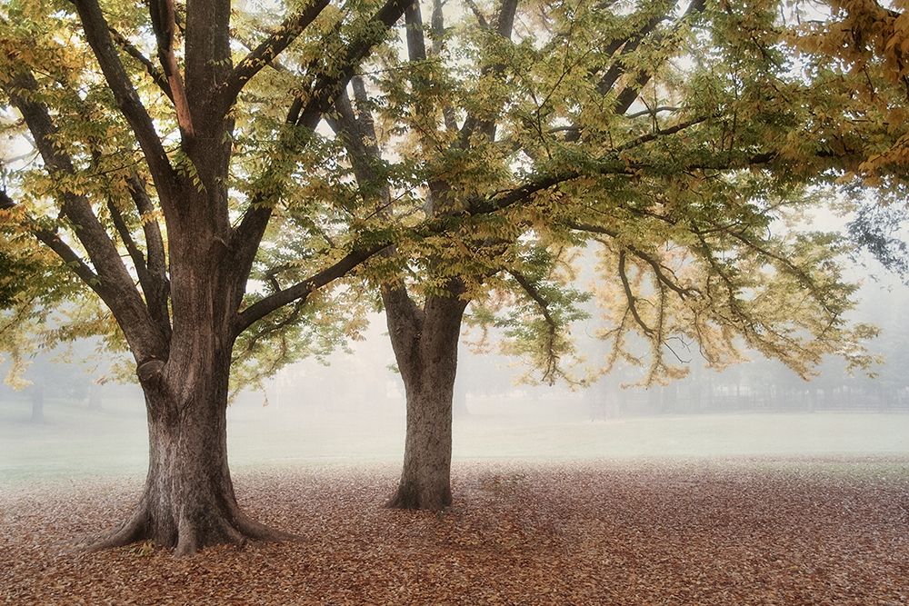 Similar wall art painting: 202103