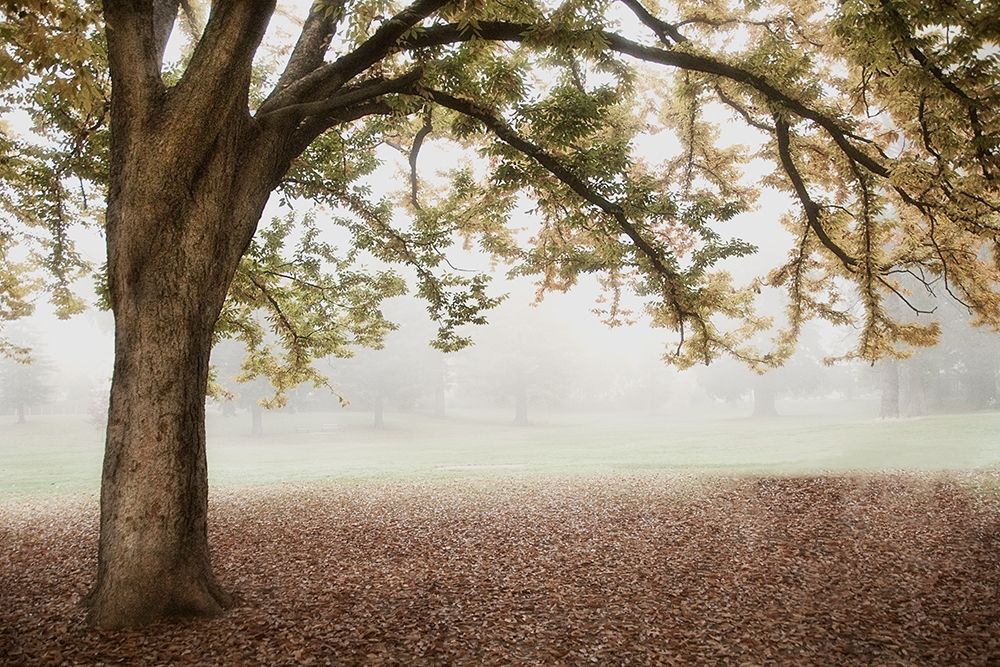 Similar wall art painting: 202102