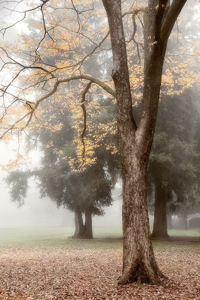 Similar wall art painting: 202104