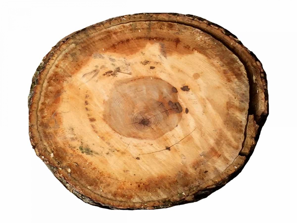 Similar wall art painting: 139412