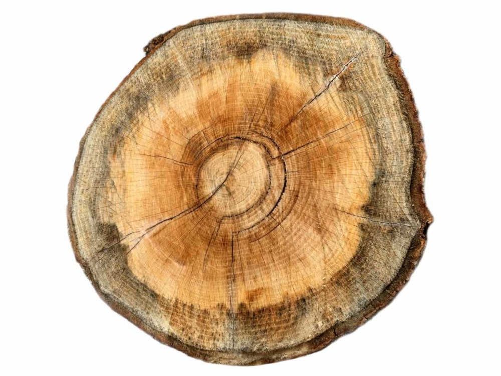 Similar wall art painting: 139414