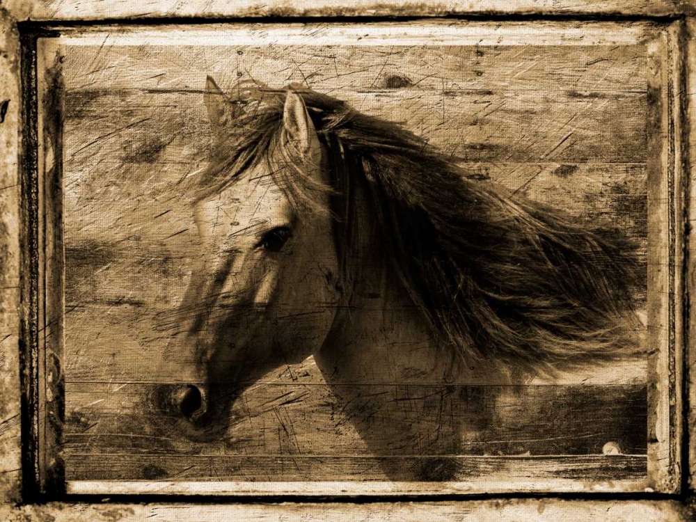 Similar wall art painting: 126002