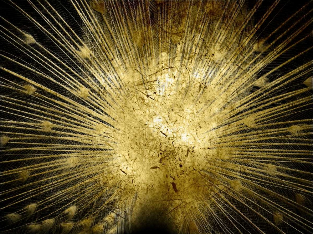 Similar wall art painting: 162403