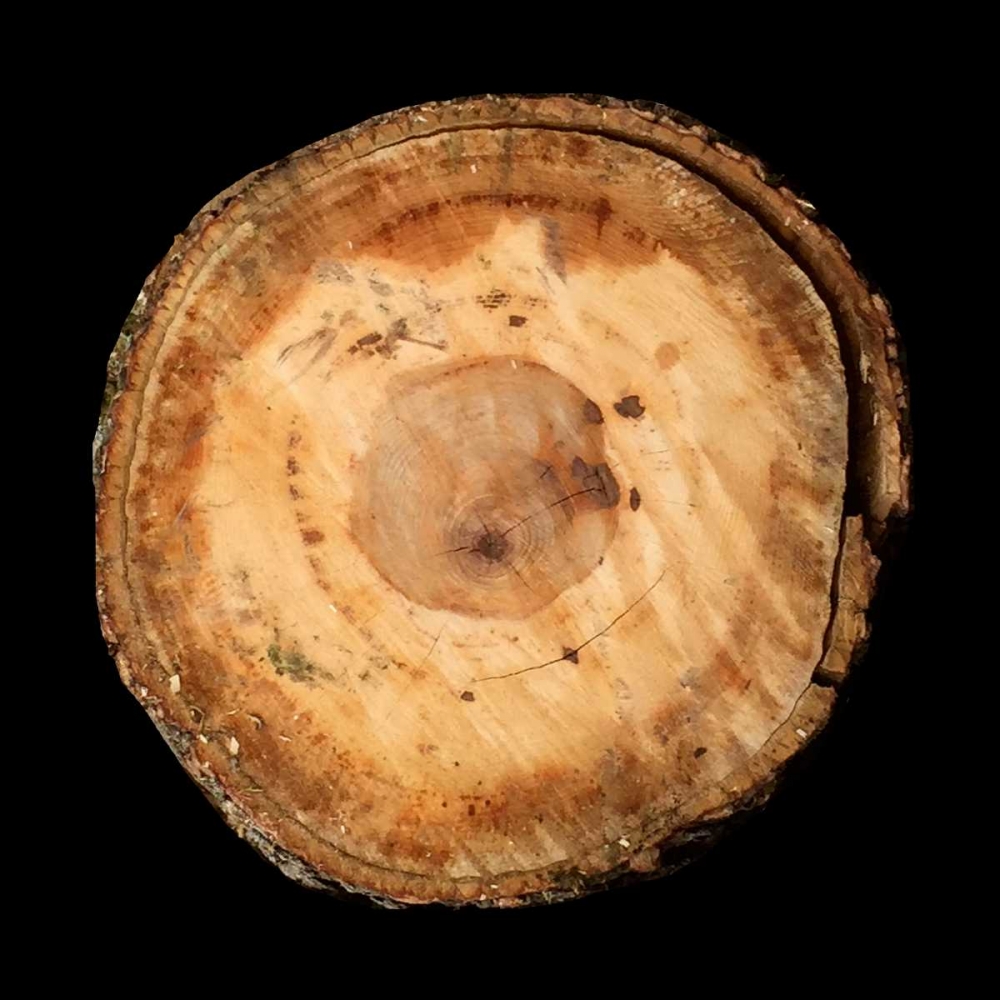 Similar wall art painting: 139549